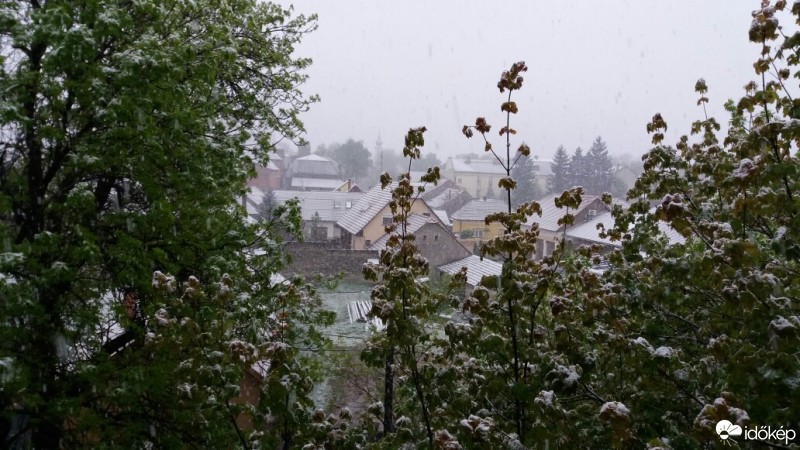Nagykőrös