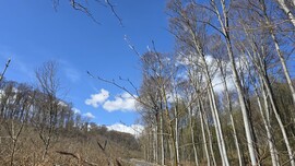 Lillafüred