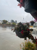 Monterey Park