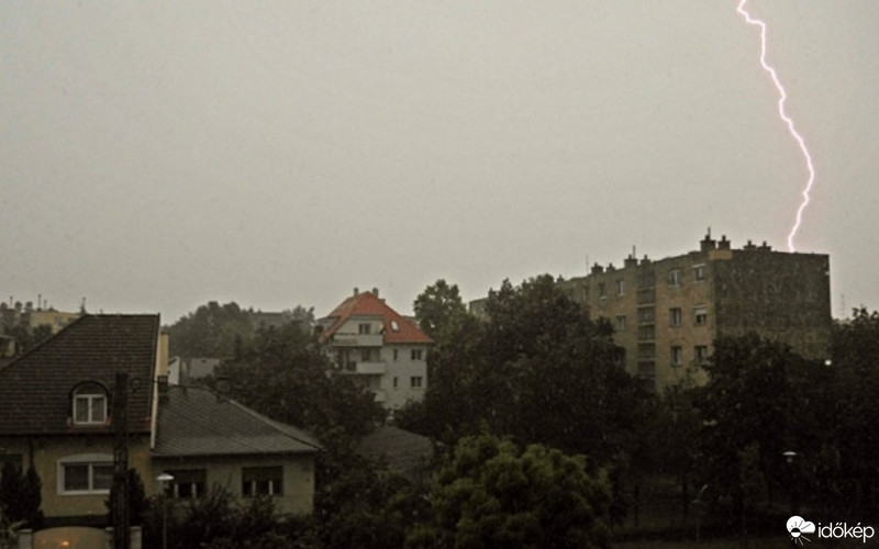Gyöngyöshalász