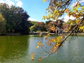 Beköszöntött az ősz Abaligetre