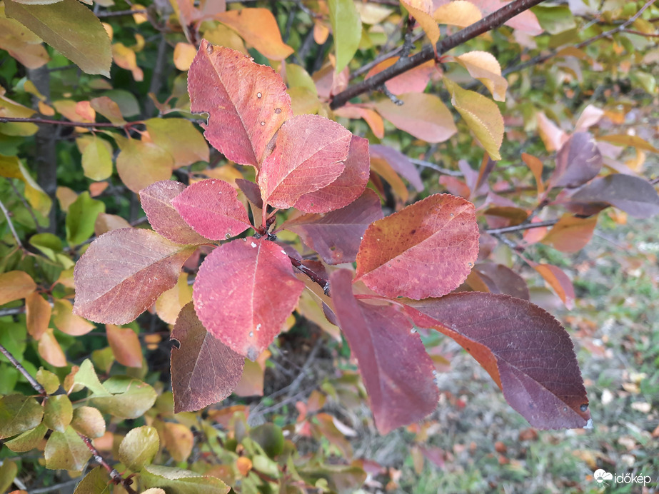 Beköszöntött az ősz Abaligetre