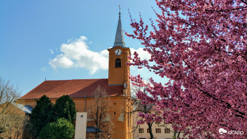 Pécsi tavasz