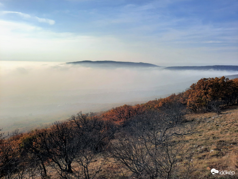 Ködpaplan a Mecsekből