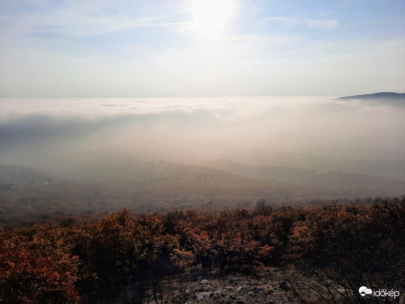 Ködpaplan a Mecsekből