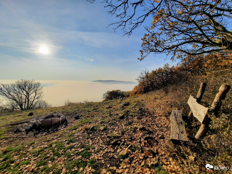 Ködpaplan a Mecsekből