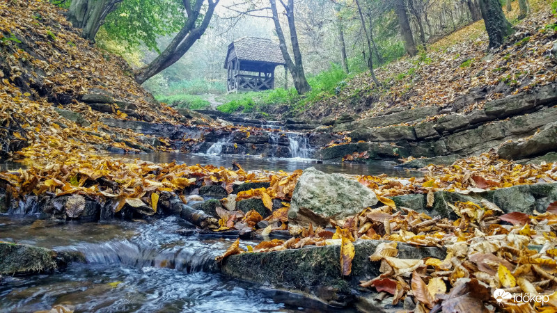 Őszi erdő és patak
