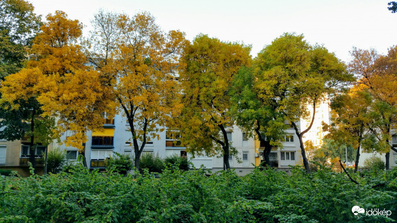 Ősz Pécsett