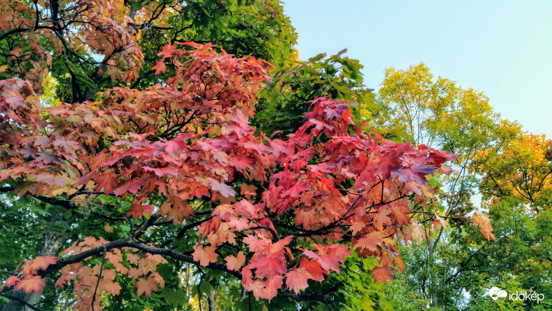 Őszi színvarázs Pécsett