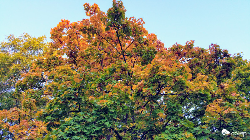 Őszi színvarázs Pécsett