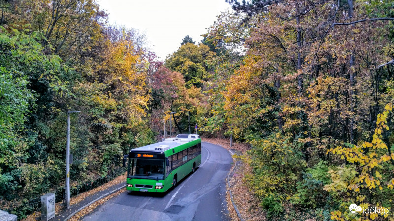 Ősz, Busz, Mecsek