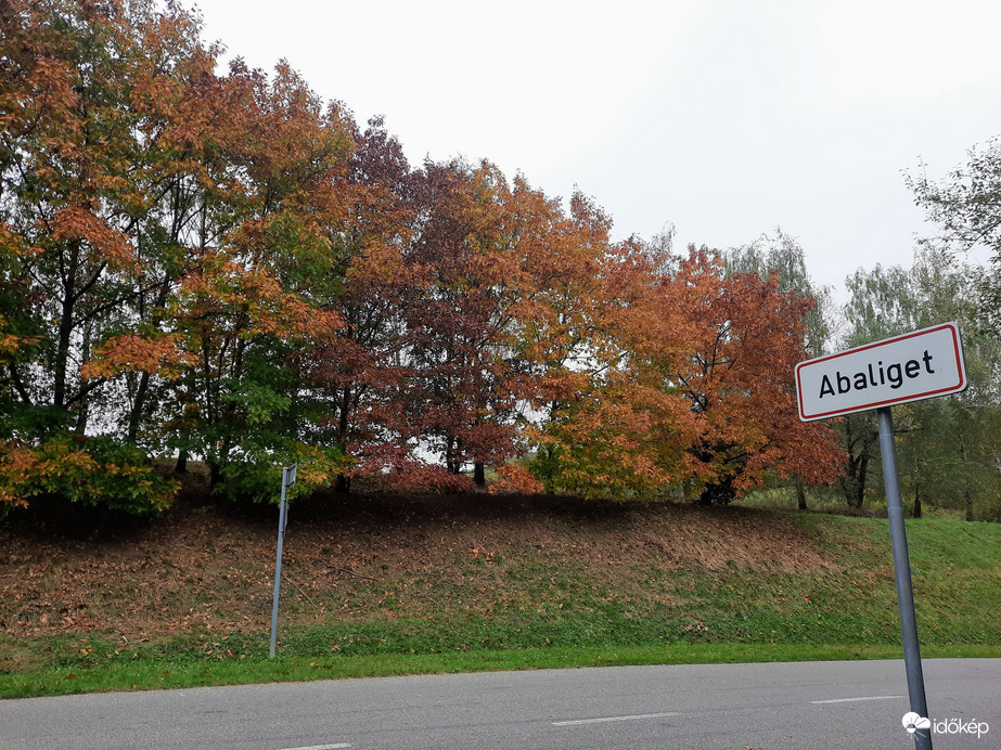 Abaligeti ősz