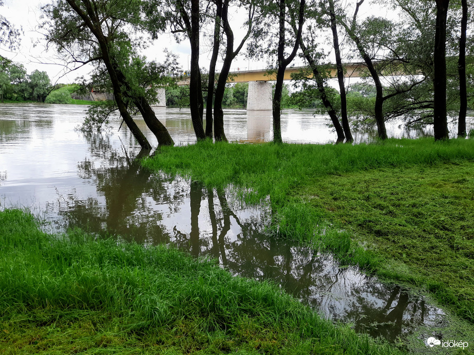 Árhullám a Dráván