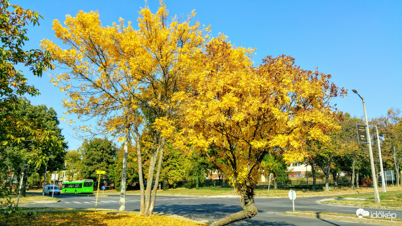 Őszi utcakép