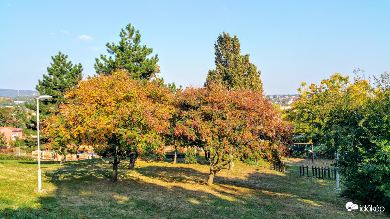 Őszi park