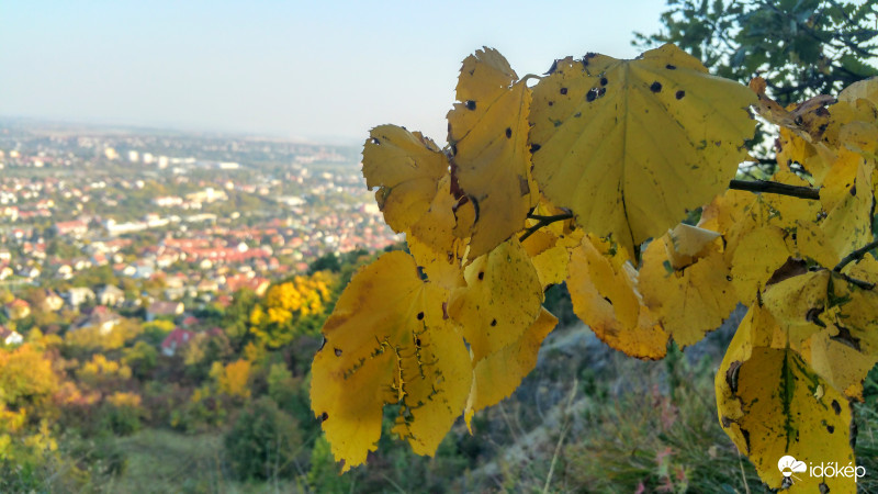 Ősz és Pécs