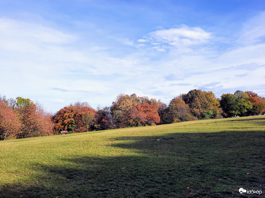 Ősz a Normafán