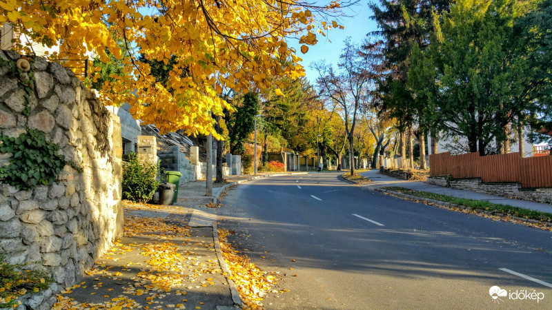 Őszi hangulat