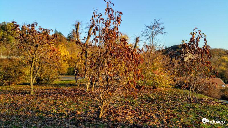 Őszi pillanat