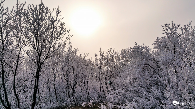 Köd és a Nap Pécsett