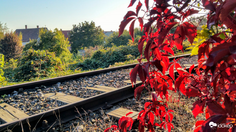 Ősz a vasútnál