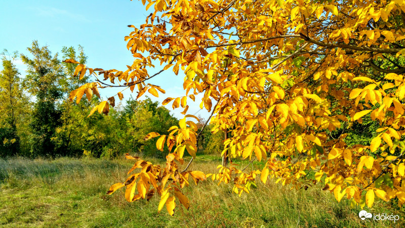 Itt az ősz