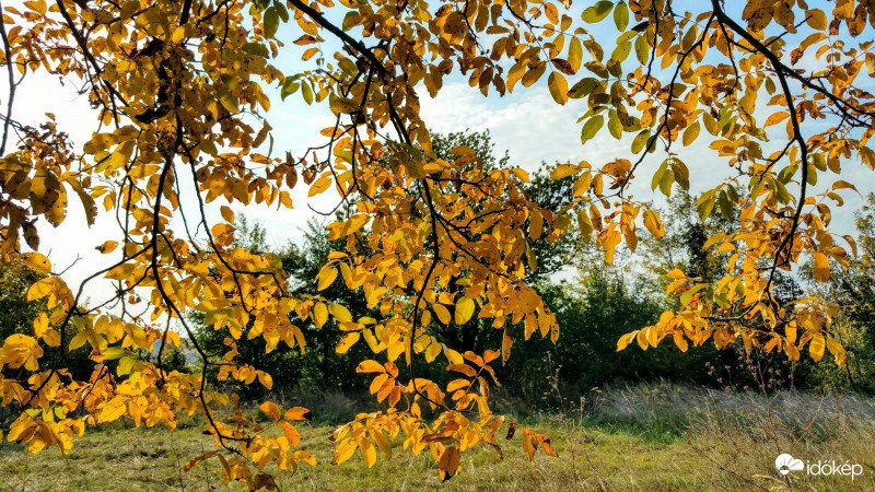 Napfényes ősz