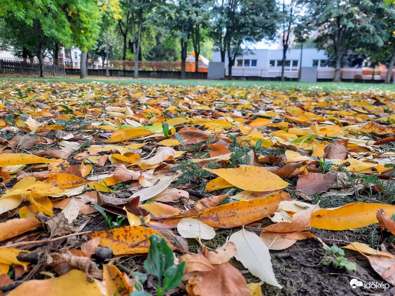 Pécsi ősz