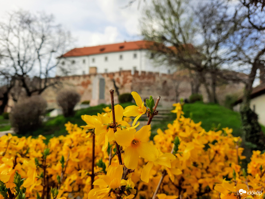 Tavasz Siklóson