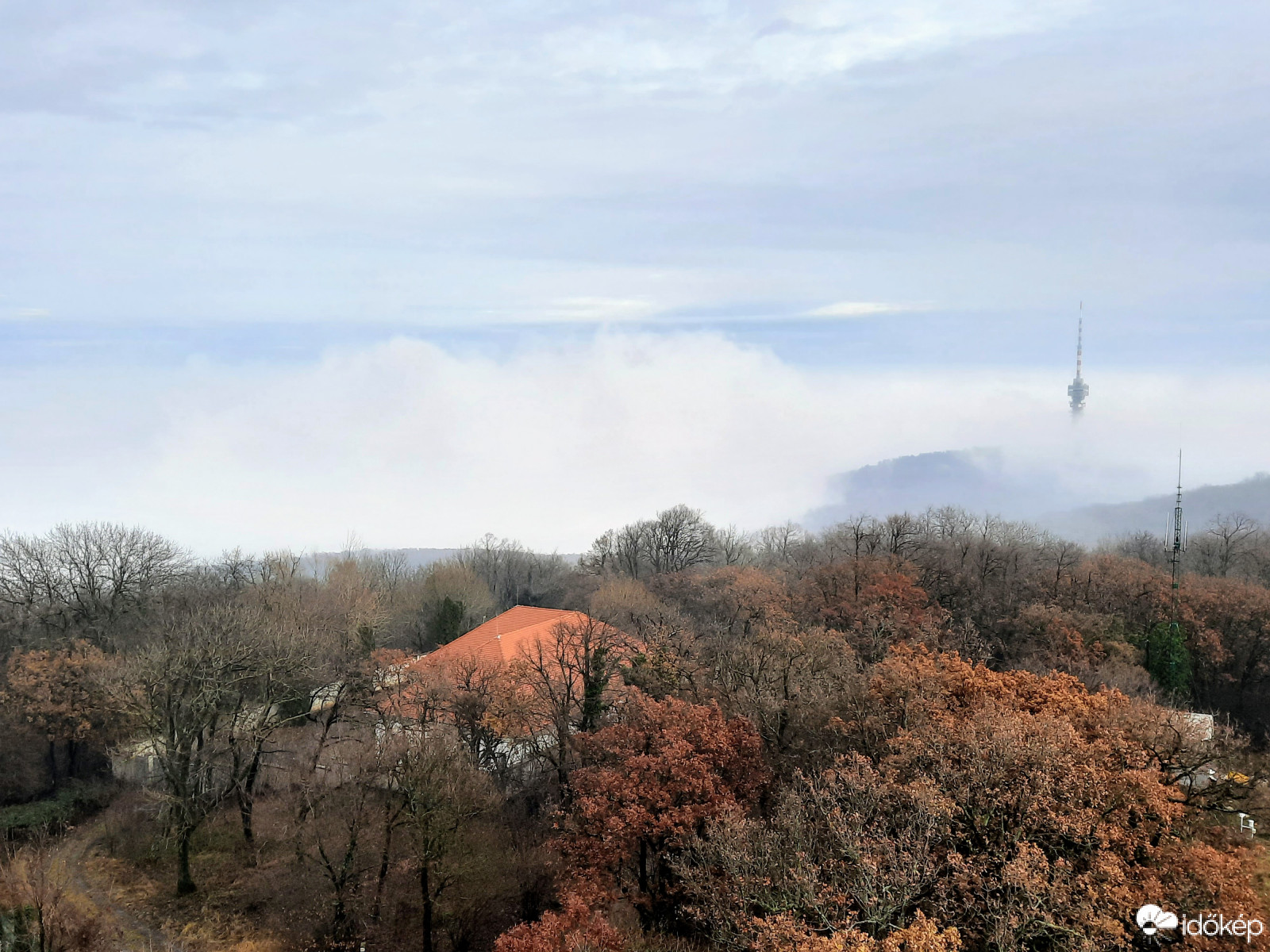 Ködpaplan a Mecsekből