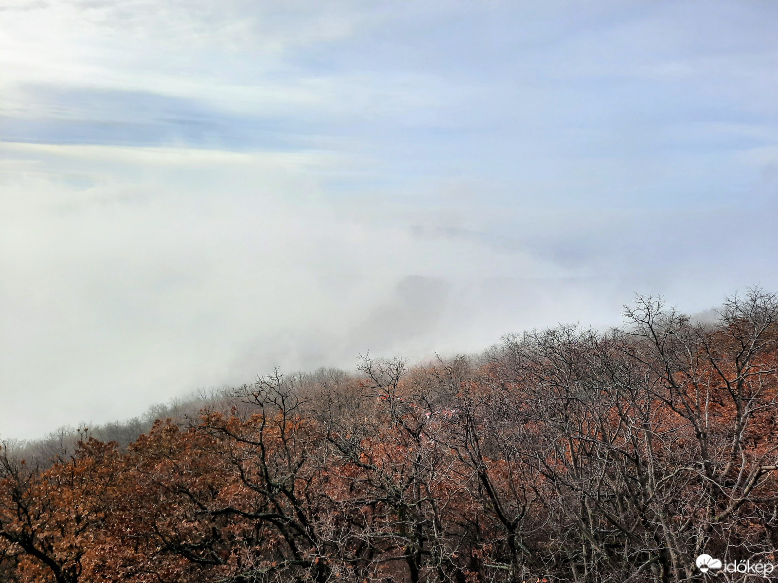 Ködpaplan a Mecsekből
