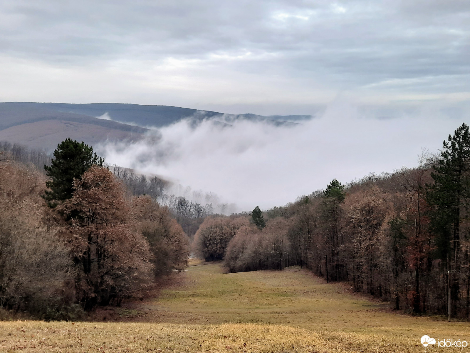 Ködpaplan a Mecsekből