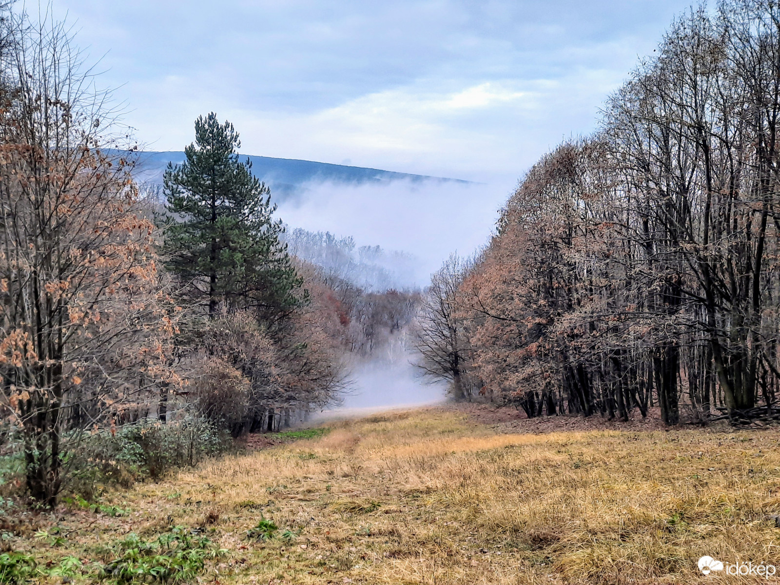 Ködpaplan a Mecsekből