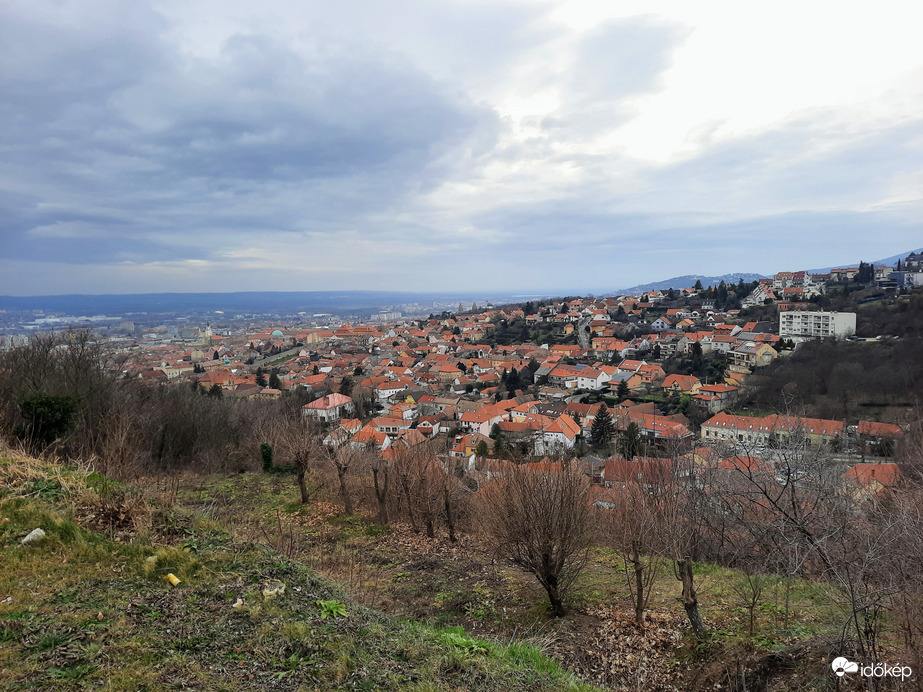 Borongós Pécs