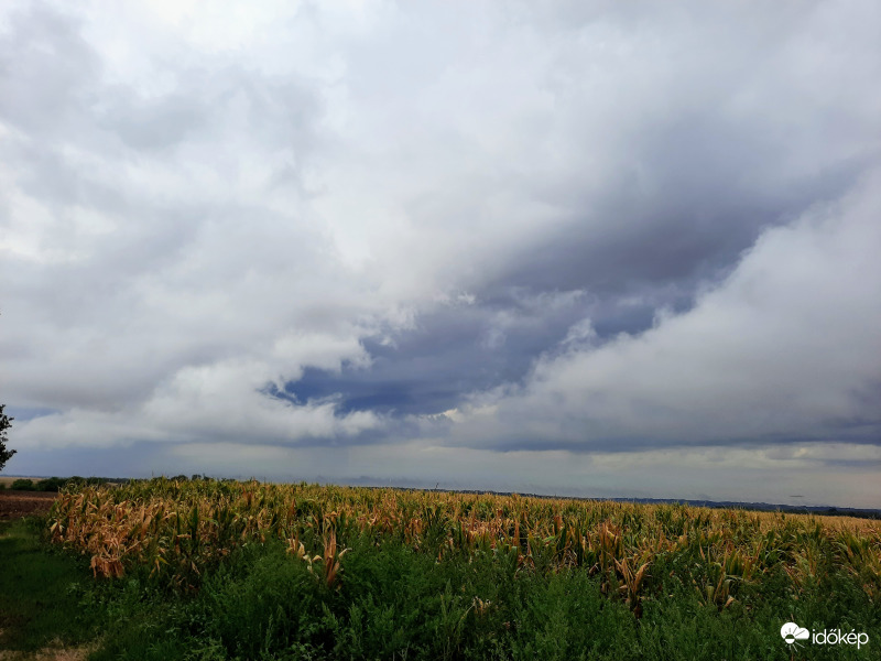Érkező esőfelhők