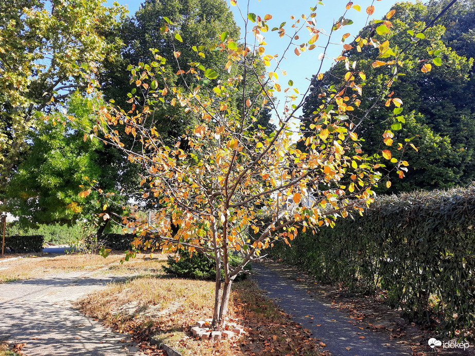 Balatonföldvári ősz