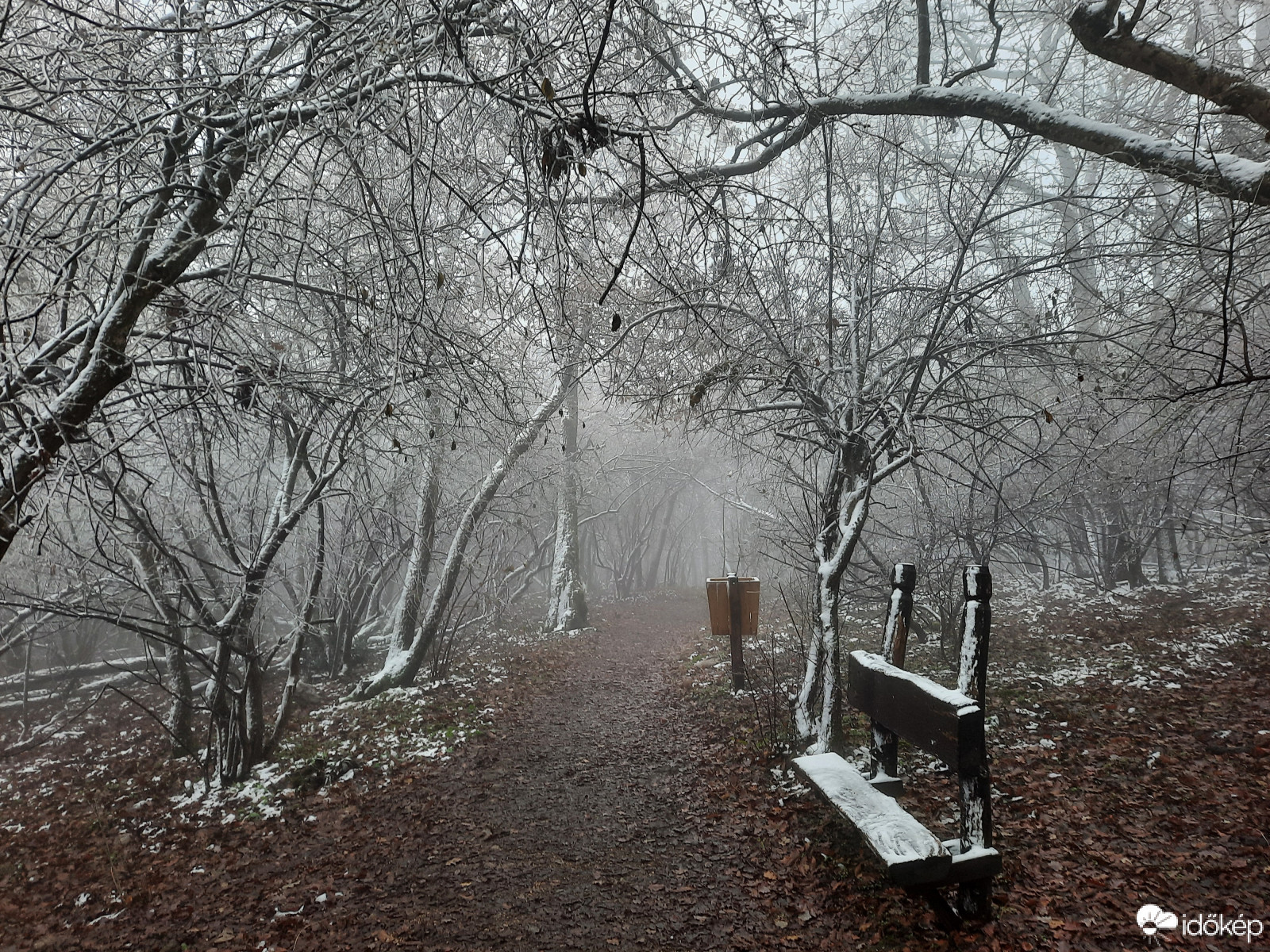 Téli világ a Mecseken