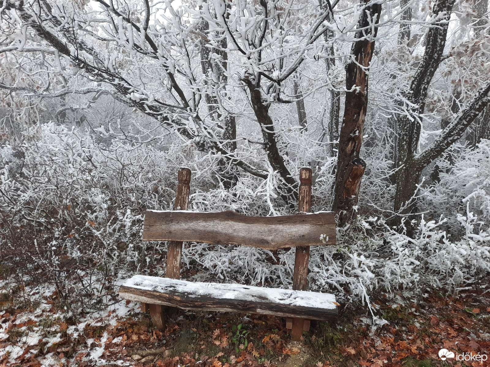 Téli világ a Mecseken