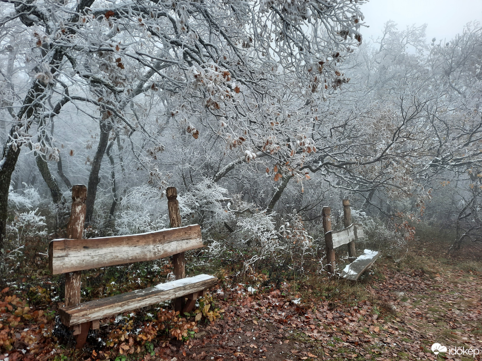 Téli világ a Mecseken