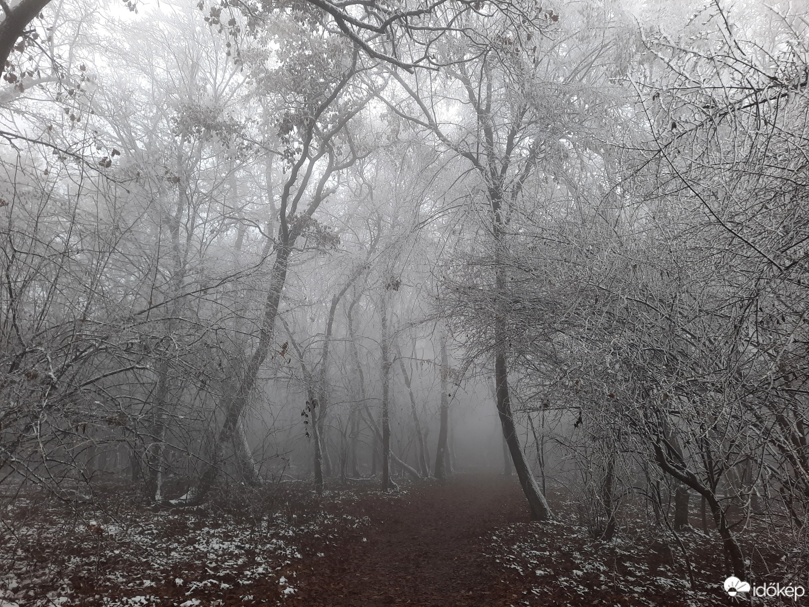 Téli világ a Mecseken