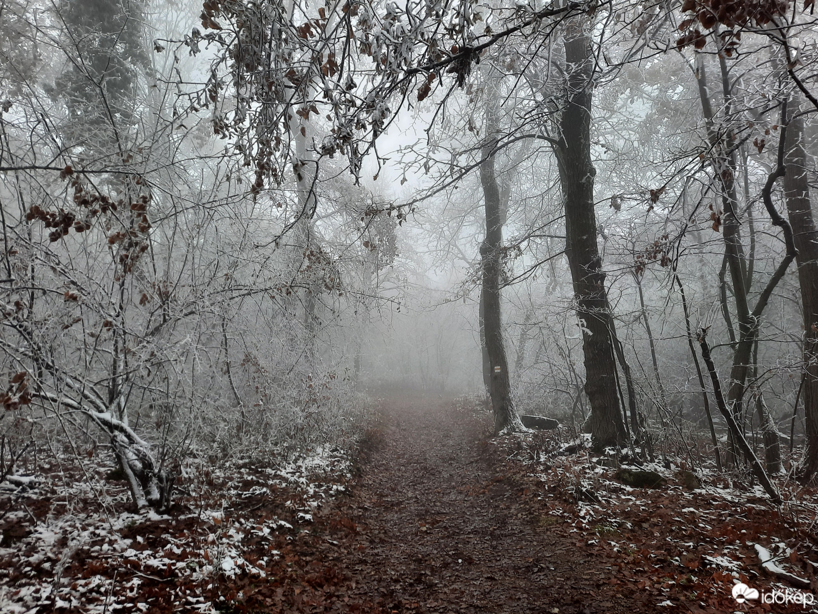Téli világ a Mecseken
