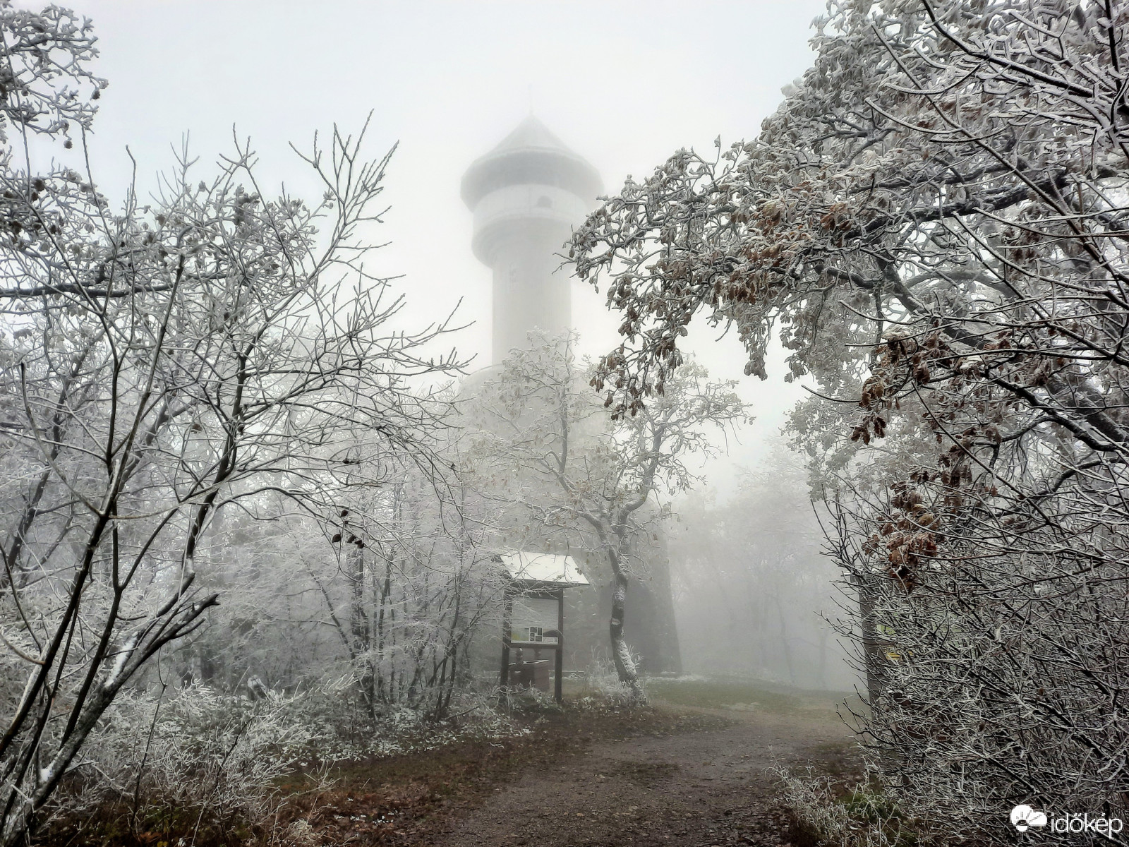 Téli világ a Mecseken