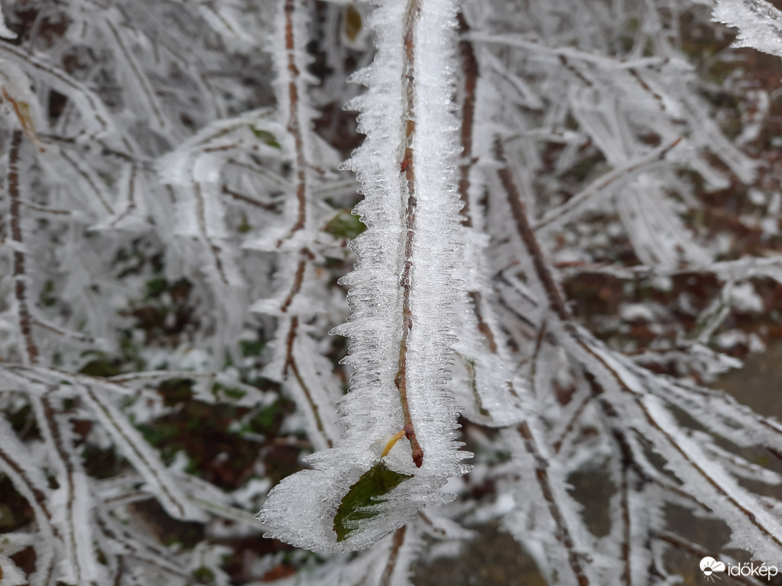 Téli világ a Mecseken