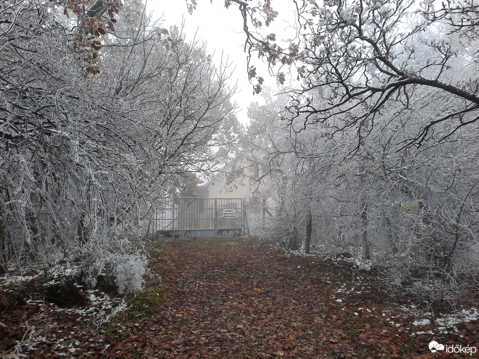 Téli világ a Mecseken