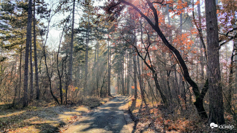 Téli napfényáradat