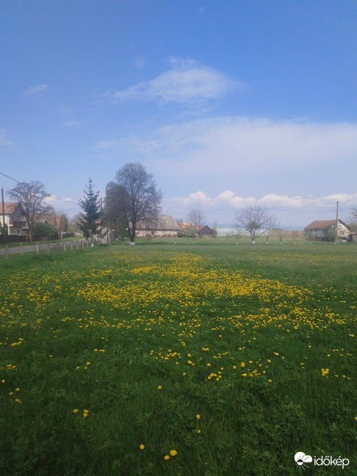 Hătuica