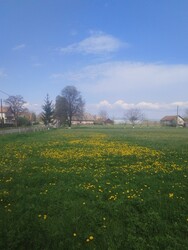 Hătuica