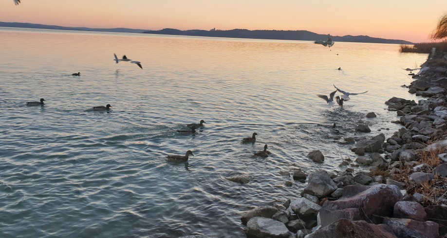 Balatonfüred