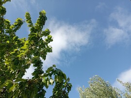 Tárnok