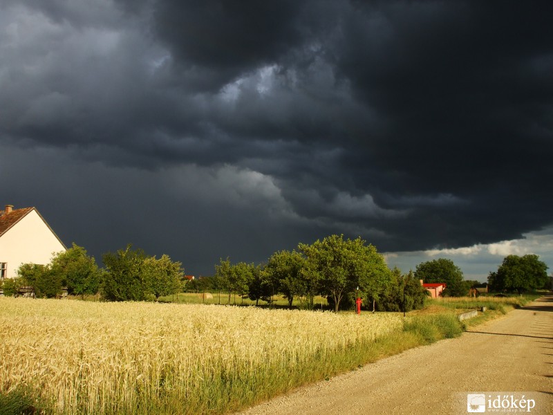 Székesfehérvár 2011.06.19.